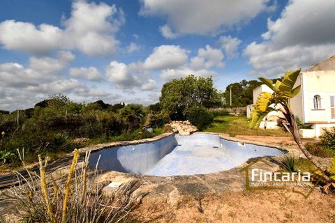 Landejendom i S'Horta (Soller), Mallorca, S'Horta (Soller) - € 895.000 | Ref: VF-1754 - foto 40
