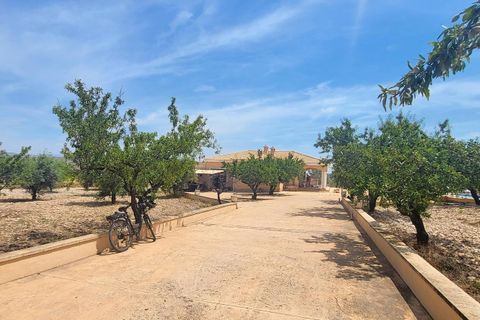 Haus in Hondon De Las Nieves, Alicante - Foto 3