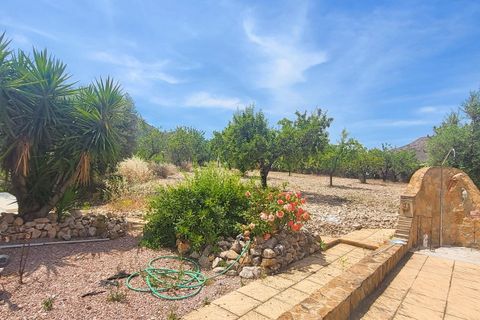 Haus in Hondon De Las Nieves, Alicante - Foto 4