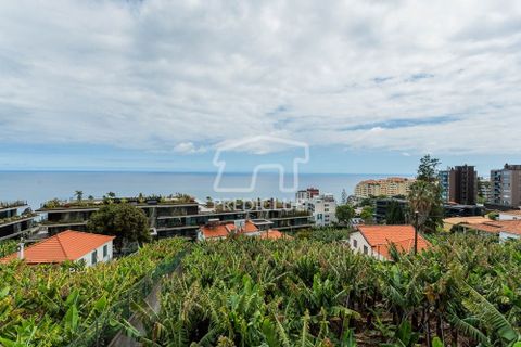 Villa a Funchal, Madeira, Funchal - € 420.000 | Ref: 10815-CM - foto 16