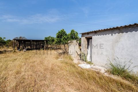 Villa i Silves, Faro, Silves - € 450 000 | Ref: City-26-48C - foto 25