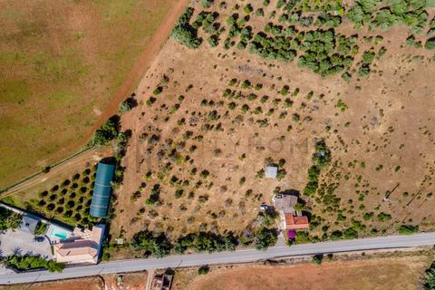Villa i Silves, Faro, Silves - € 450 000 | Ref: City-26-48C - foto 28