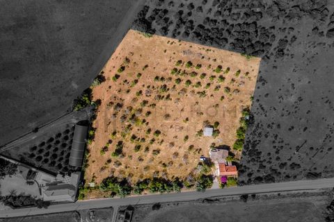 Villa i Silves, Faro, Silves - € 450 000 | Ref: City-26-48C - foto 29
