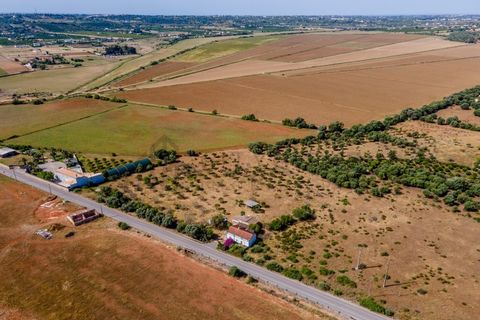 Villa i Silves, Faro, Silves - € 450 000 | Ref: City-26-48C - foto 31