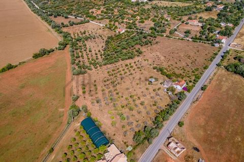 Villa i Silves, Faro, Silves - € 450 000 | Ref: City-26-48C - foto 33