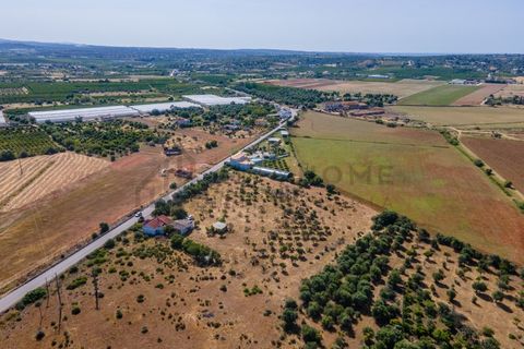 Villa i Silves, Faro, Silves - € 450 000 | Ref: City-26-48C - foto 35