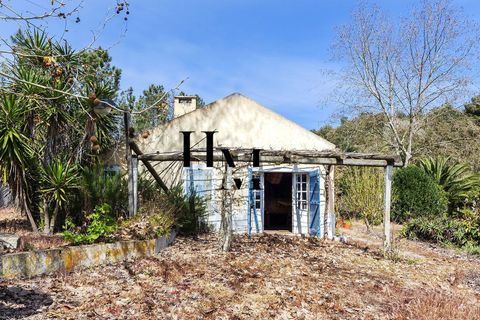 Landejendom i Azambuja, Lisbon, Azambuja - € 495.000 | Ref: HMINVEST_12/14252 - foto 15