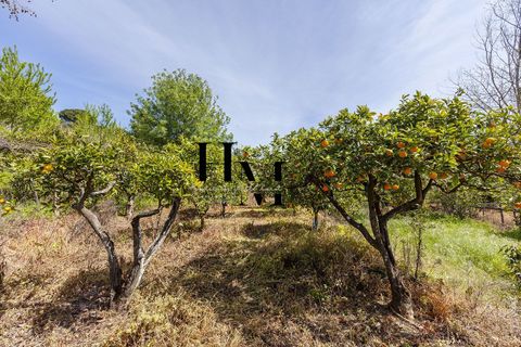 Landejendom i Azambuja, Lisbon, Azambuja - € 495.000 | Ref: HMINVEST_12/14252 - foto 17