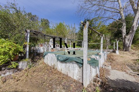 Landejendom i Azambuja, Lisbon, Azambuja - € 495.000 | Ref: HMINVEST_12/14252 - foto 19