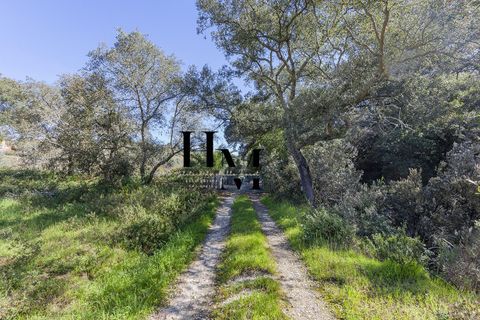 Landejendom i Azambuja, Lisbon, Azambuja - € 495.000 | Ref: HMINVEST_12/14252 - foto 20