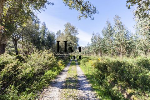 Landejendom i Azambuja, Lisbon, Azambuja - € 495.000 | Ref: HMINVEST_12/14252 - foto 21