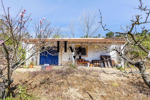 Landejendom i Azambuja, Lisbon, Azambuja - € 495.000 | Ref: HMINVEST_12/14252 - foto 23