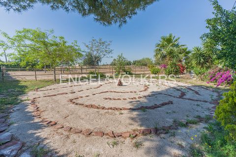 Villa i Elche, Alicante, Elche - € 575.000 | Ref: W-04A58K - foto 35