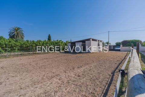 Villa i Elche, Alicante, Elche - € 575.000 | Ref: W-04A58K - foto 34
