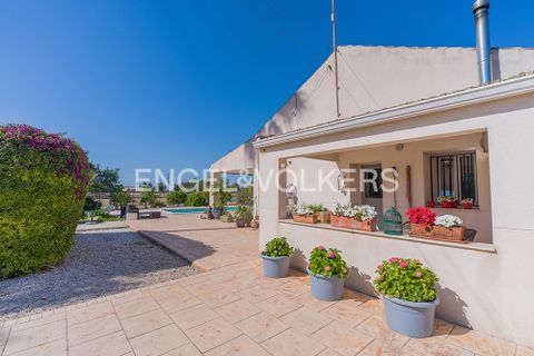 Villa i Elche, Alicante, Elche - € 575.000 | Ref: W-04A58K - foto 5