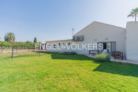 Villa i Elche, Alicante, Elche - € 575.000 | Ref: W-04A58K - foto 9