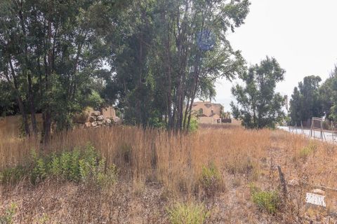 Terra a Manilva, Malaga, Manilva - € 450.000 | Ref: CHI-6234-411-0D - foto 5