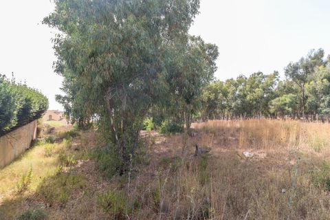 Terra a Manilva, Malaga, Manilva - € 450.000 | Ref: CHI-6234-411-0D - foto 6