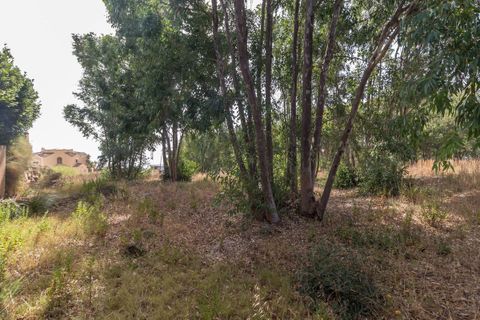 Terra a Manilva, Malaga, Manilva - € 450.000 | Ref: CHI-6234-411-0D - foto 7