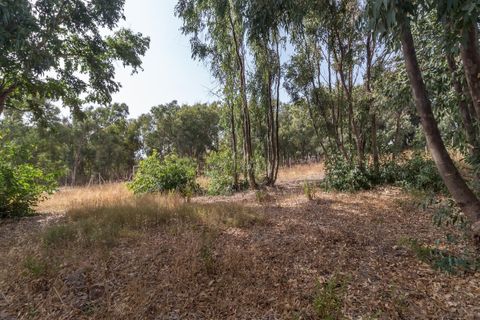 Terra a Manilva, Malaga, Manilva - € 450.000 | Ref: CHI-6234-411-0D - foto 10