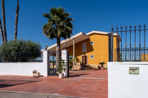 Finca i Orihuela, Alicante - foto 5