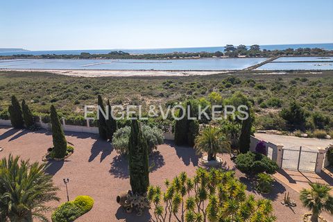 Villa a La Marina, Alicante, La Marina - € 1.495.000 | Ref: W-04A4UW - foto 48