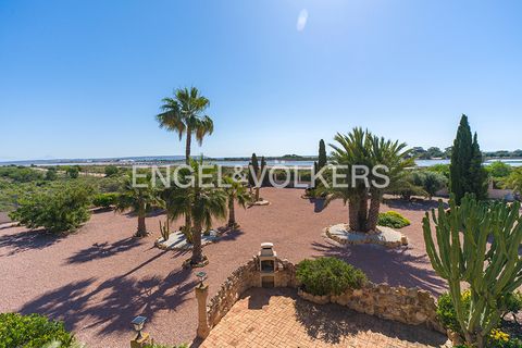 Villa a La Marina, Alicante, La Marina - € 1.495.000 | Ref: W-04A4UW - foto 38