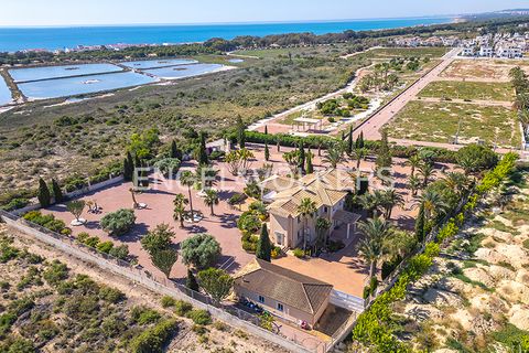 Villa a La Marina, Alicante, La Marina - € 1.495.000 | Ref: W-04A4UW - foto 2