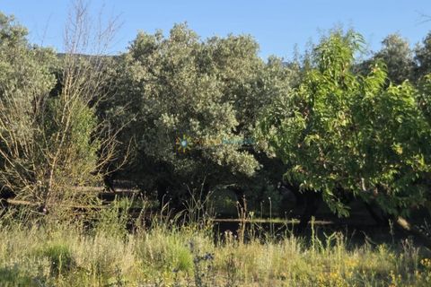Helårsgrund i Belgida, Valencia, Belgida - € 42.000 | Ref: PNPT304 - foto 11