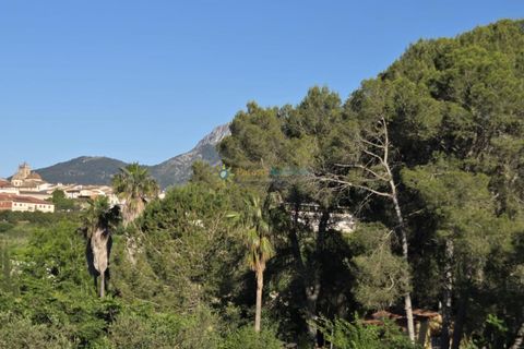Helårsgrund i Belgida, Valencia, Belgida - € 42.000 | Ref: PNPT304 - foto 8