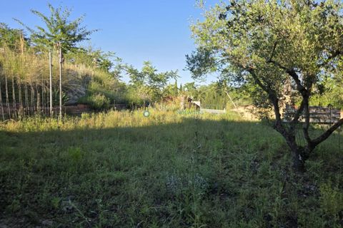 Helårsgrund i Belgida, Valencia, Belgida - € 42.000 | Ref: PNPT304 - foto 14