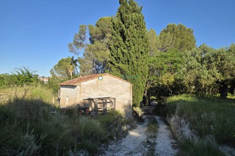 Helårsgrund i Belgida, Valencia, Belgida - € 42.000 | Ref: PNPT304 - foto 5