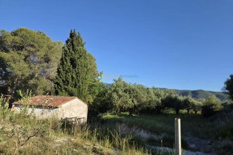 Helårsgrund i Belgida, Valencia, Belgida - € 42.000 | Ref: PNPT304 - foto 7