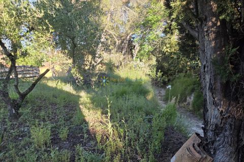 Helårsgrund i Belgida, Valencia, Belgida - € 42.000 | Ref: PNPT304 - foto 13