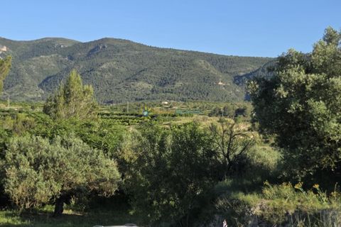 Helårsgrund i Belgida, Valencia, Belgida - € 42.000 | Ref: PNPT304 - foto 10
