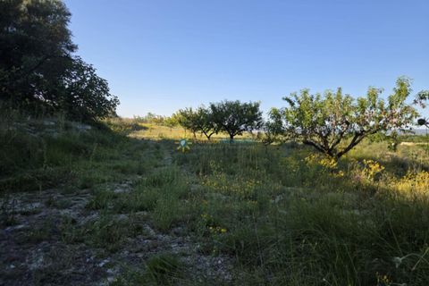 Helårsgrund i Belgida, Valencia, Belgida - € 42.000 | Ref: PNPT304 - foto 9