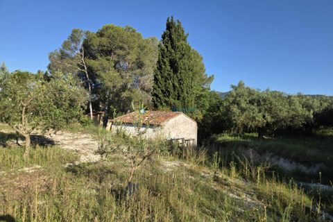Helårsgrund i Belgida, Valencia, Belgida - € 42.000 | Ref: PNPT304 - foto 4