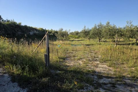 Helårsgrund i Belgida, Valencia, Belgida - € 42.000 | Ref: PNPT304 - foto 6