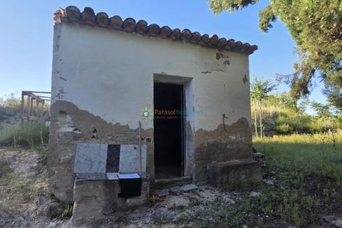 Helårsgrund i Belgida, Valencia, Belgida - € 42.000 | Ref: PNPT304 - foto 3