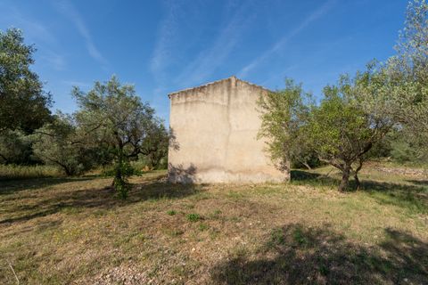 Finca i Aldover, Tarragona, Aldover - € 49.500 | Ref: 369 - foto 15