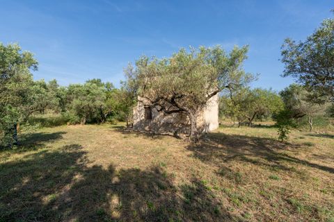 Finca i Aldover, Tarragona, Aldover - € 49.500 | Ref: 369 - foto 17