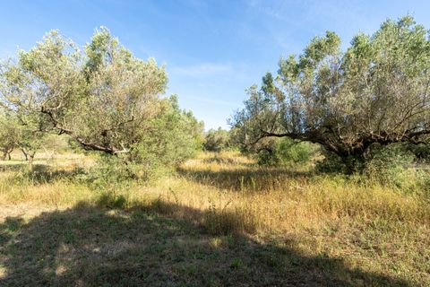 Finca i Aldover, Tarragona, Aldover - € 49.500 | Ref: 369 - foto 18