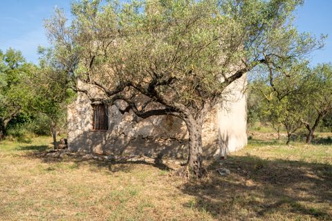 Finca i Aldover, Tarragona, Aldover - € 49.500 | Ref: 369 - foto 13