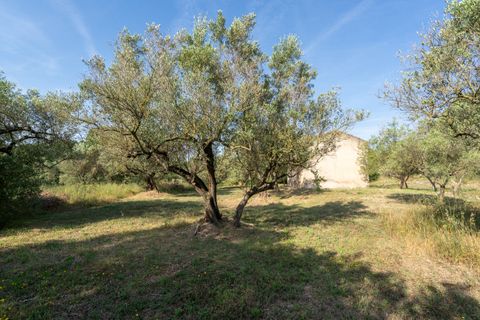 Finca i Aldover, Tarragona, Aldover - € 49.500 | Ref: 369 - foto 16