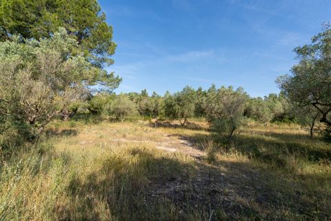Finca i Aldover, Tarragona, Aldover - € 49.500 | Ref: 369 - foto 19