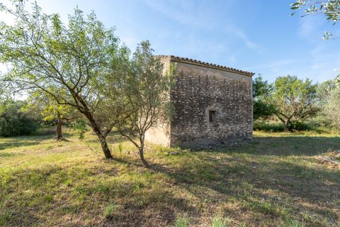 Finca i Aldover, Tarragona, Aldover - € 49.500 | Ref: 369 - foto 14