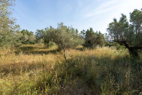 Finca i Aldover, Tarragona, Aldover - € 49.500 | Ref: 369 - foto 20
