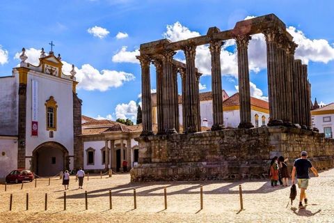 Erhvervsejendom i Evora, Evora, Evora - € 5.100.000 | Ref: TRUSTP29011 - foto 3