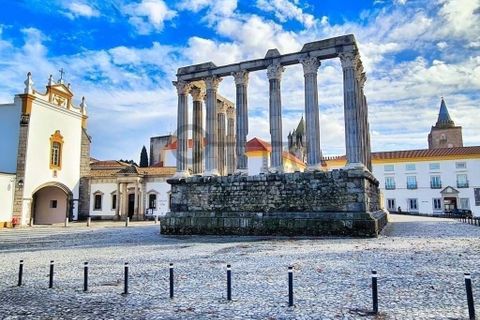 Erhvervsejendom i Evora, Evora, Evora - € 5.100.000 | Ref: TRUSTP29011 - foto 4