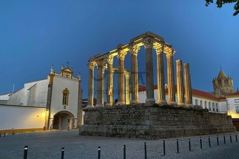 Erhvervsejendom i Evora, Evora, Evora - € 5.100.000 | Ref: TRUSTP29011 - foto 7